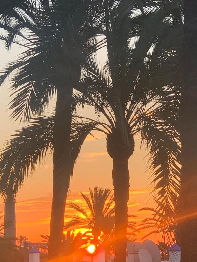 Appartement Palmeras Puerto Paraiso Estepona Esterno foto