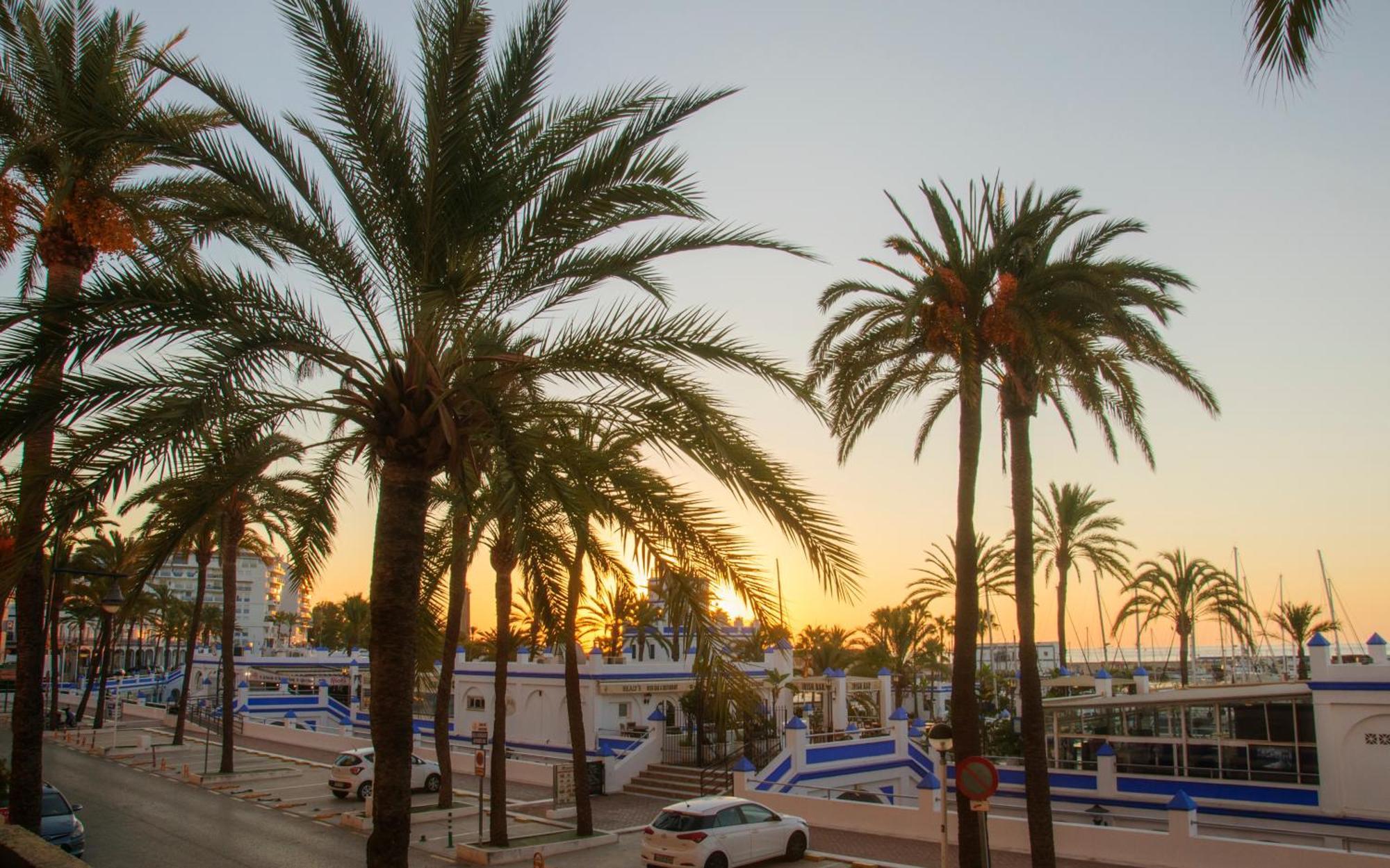 Appartement Palmeras Puerto Paraiso Estepona Esterno foto
